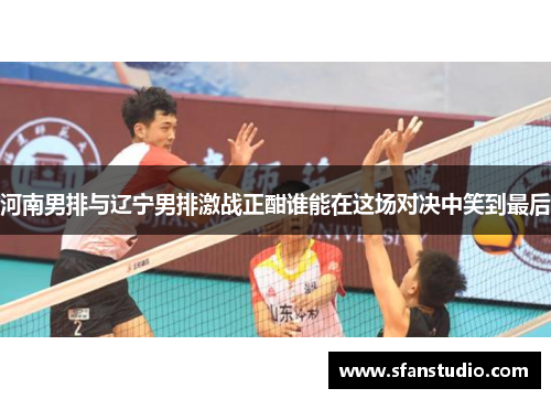 河南男排与辽宁男排激战正酣谁能在这场对决中笑到最后